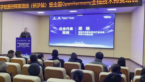 開鴻智谷攜手開源基金會成功舉辦校源行師資培訓 推動計算機技術(shù)教育發(fā)展