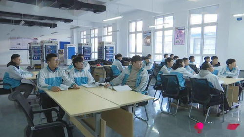 新泰市 深化職業教育創新，賦能區域經濟高質量發展