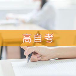 天津慧永諾教育信息咨詢 專業引領，點亮未來教育之路